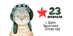 Продажа мужских носков к 23 февраля оптом Продажа мужских носков к 23 февраля оптом