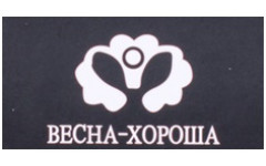 Носки Весна-хороша оптом